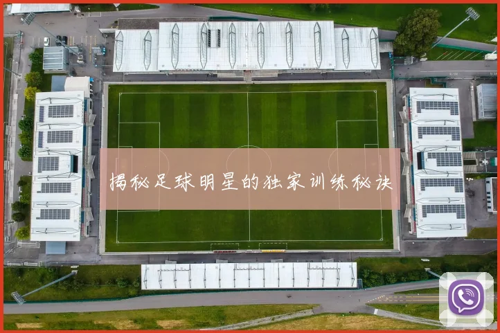 揭秘足球明星的独家训练秘诀