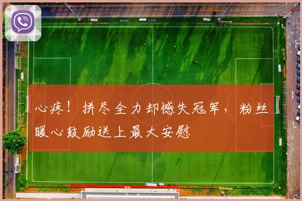 心疼！拼尽全力却憾失冠军，粉丝暖心鼓励送上最大安慰