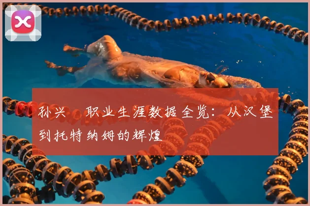 孙兴慜职业生涯数据全览:从汉堡到托特纳姆的辉煌